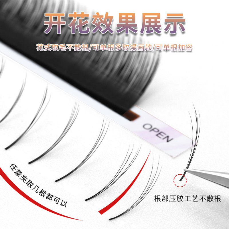 Professional Eyelash